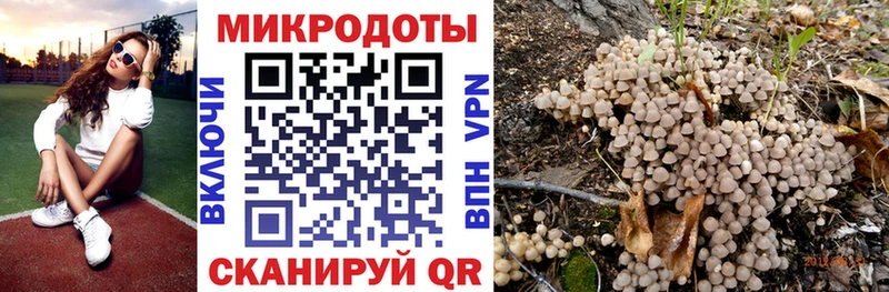 Псилоцибиновые грибы Cubensis  Купить где  Шумиха 